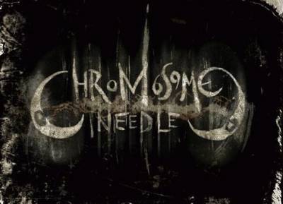 logo Chromosome Needle